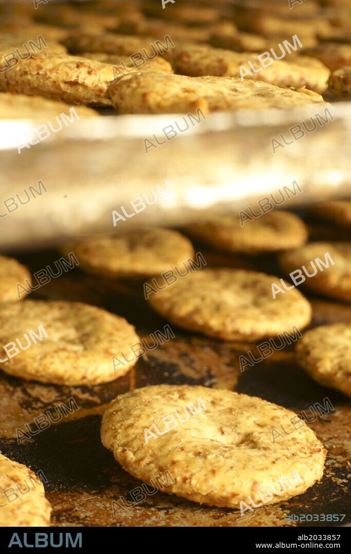 Galletas marineras Gori Noceras. Muro.Pla de Mallorca.Mallorca.Baleares.España.