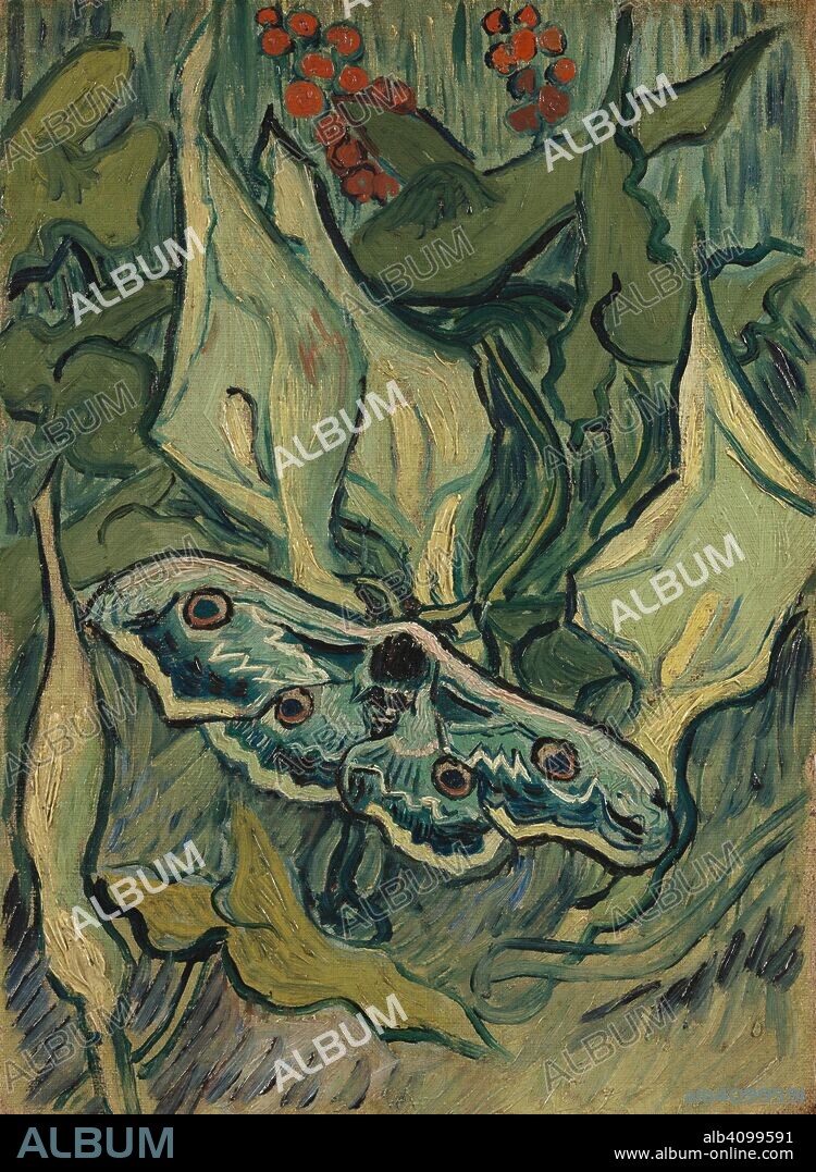VINCENT VAN GOGH. Giant Peacock Moth. Date: May-June 1889, Saint-Rémy-de-Provence. Dimensions: 33.5 cm x 24.5 , 52  x 42 cm.