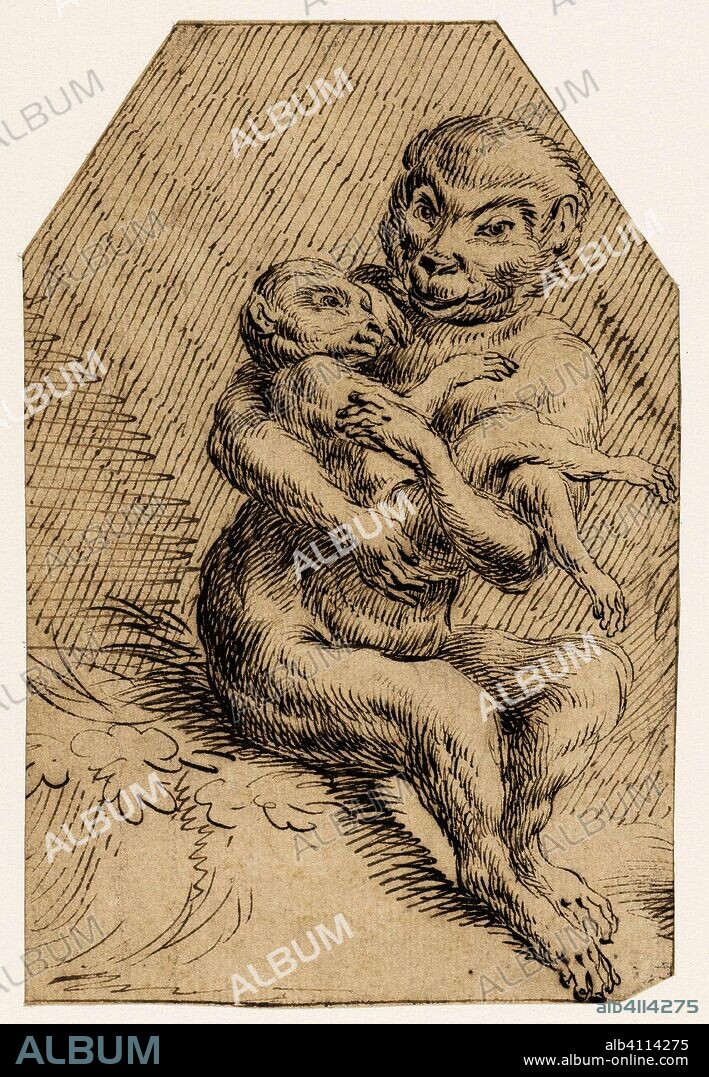 Monkey with a young monkey in his arms. Artist: Marcus Gheeraerts (I). Draughtsman: anonymous. Dating: 1567 - 1617. Measurements: h 135 mm × w 90 mm.