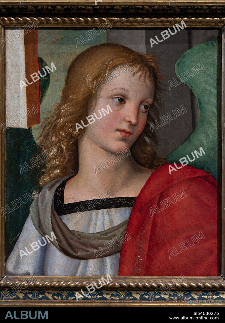 Brescia, Pinacoteca Tosio Martinengo: Raffaello Sanzio, "Angelo" (1501).