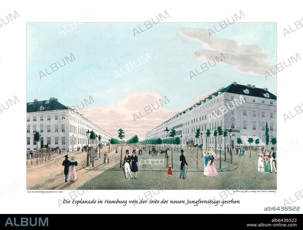 Die Esplanade wurde nach dem Vorbild der Berliner Straße Unter den Linden als Prachtstraße und Flaniermeile angelegt. Esplanade bedeutet eigentlich einen aus Verteidungszwecken unbebauten Raum zwischen Stadtwall und Stadt.