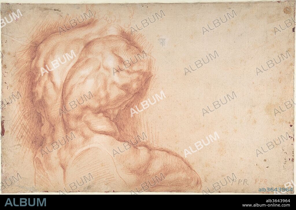 The Virgin Adored by Saints (recto); Study of the Torso Belvedere (verso). Artist: Peter Paul Rubens (Flemish, Siegen 1577-1640 Antwerp). Dimensions: 15 9/16 x 10 1/4 in. (39.5 x 26 cm). Date: 1577-1640.
Recto:
These rapidly executed sketches represent Rubens's first ideas for an altarpiece commissioned by the Church of the Augustinian Fathers in Antwerp, now in the city's Royal Museum of Fine Arts. At top center, Saint Catherine kneels before the Virgin and Christ Child, while to the left is a more detailed study of her drapery. Below, several other saints are depicted with gentle outlines. In the foreground, from left to right, Saints George, Sebastian, and William of Aquitaine pay homage to the Virgin. Although Rubens later altered the composition, he incorporated several elements from this early stage of his creative process into the painting.
Verso:
This drawing was made by Rubens as a young man on his first trip to Rome, in 1601-2. It is a study of the back view of the an antique sculpture dating to the first century B.C., which belonged to the Colonna family in the seventeenth century and is today in the Vatican Museums. Using red chalk and a technique of soft overlapping hatching, Rubens produced lifelike results that belie the marble material of his subject.