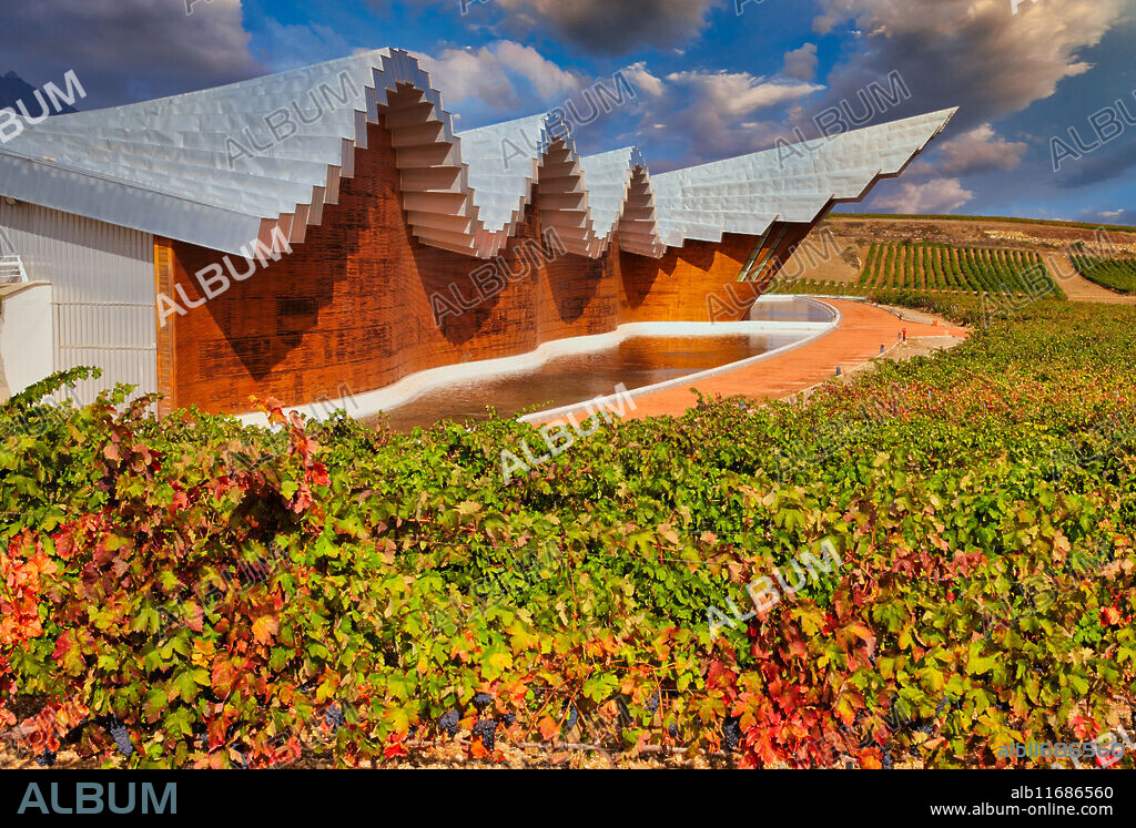 Vineyards, Bodegas Ysios, designed by architect Santiago Calatrava, Laguardia, Rioja Alavesa, Araba, Basque Country, España.