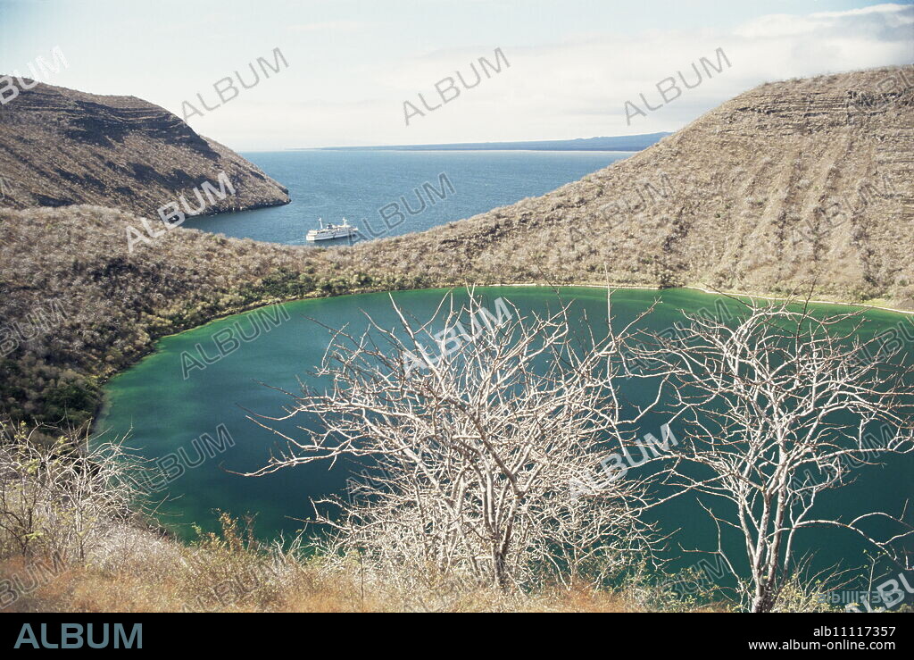 Darwin Crater, Tagus Cove, Isabella (Isla Isabela), Galapagos Islands, Ecuador, South America.