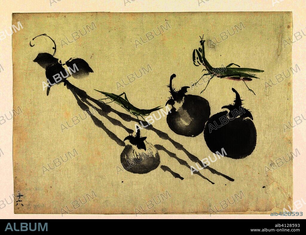 Grasshoppers with three persimmons. Draughtsman: anonymous. Dating: 1800 - 1899. Place: Japan. Measurements: h 265 mm × w 364 mm.