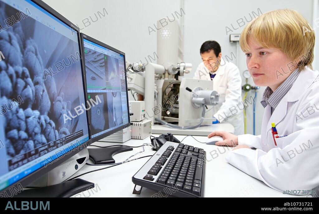Discussing on SEM images, Analysis of nanostructures and nanodevices, Environmental scanning electron microscopy Laboratory, ESEM, Microscope Quanta TM 250 FEG, High-resolution surface imaging, Investigation of wet and dielectric samples, Nanofluidic phenomena, Surface chemintry in various gas mixtures, CIC nanoGUNE, Nanoscience Cooperative Research Center, San Sebastian, Donostia, Gipuzkoa, Euskadi, Spain.