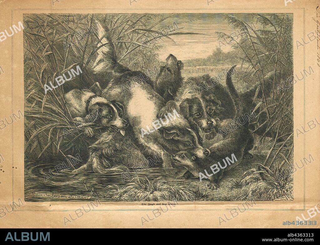 Canis lupus familiaris, Print, The domestic dog (Canis lupus familiaris when considered a subspecies of the wolf or Canis familiaris when considered a distinct species) is a member of the genus Canis (canines), which forms part of the wolf-like canids, and is the most widely abundant terrestrial carnivore. The dog and the extant gray wolf are sister taxa as modern wolves are not closely related to the wolves that were first domesticated, which implies that the direct ancestor of the dog is extinct. The dog was the first species to be domesticated and has been selectively bred over millennia for various behaviors, sensory capabilities, and physical attributes., 1868.