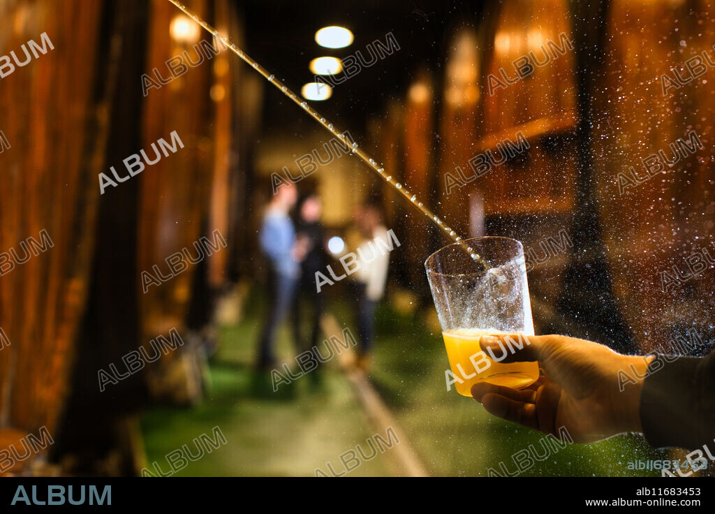 Cider barrels, Sidreria Petritegi, Astigarraga, Gipuzkoa, Basque Country, Spain, Europe.