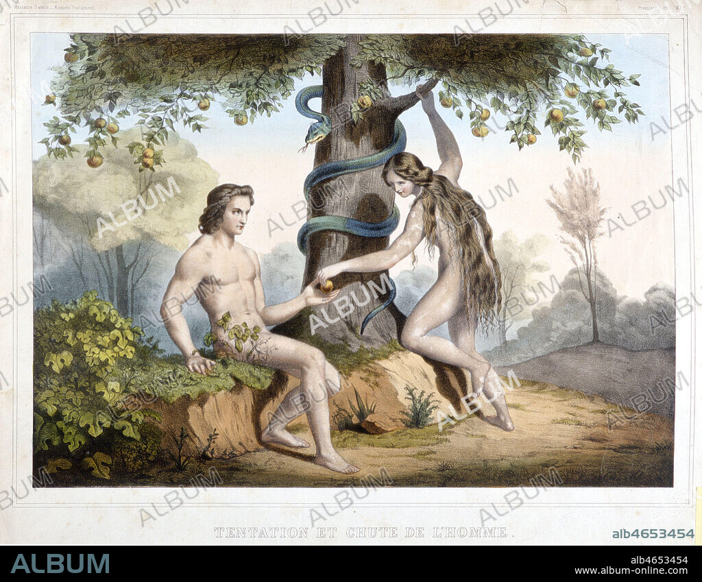 'Tentation et chute de l'Homme' ADAM et EVE au jardin du Paradis. Le serpent est dans l'arbre, EVE tend la pomme a ADAM. Lithographie in Histoire Sainte, Ancien Testament, vers 1900. Credit Collection Kharbine Tapabor.