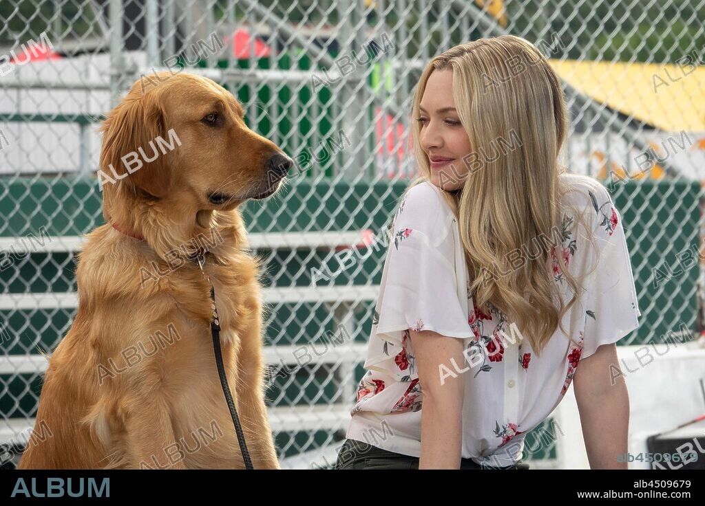 AMANDA SEYFRIED en EL ARTE DE VIVIR BAJO LA LLUVIA, 2019 (THE ART OF RACING IN THE RAIN), dirigida por SIMON CURTIS. Copyright FOX 2000 PICTURES.