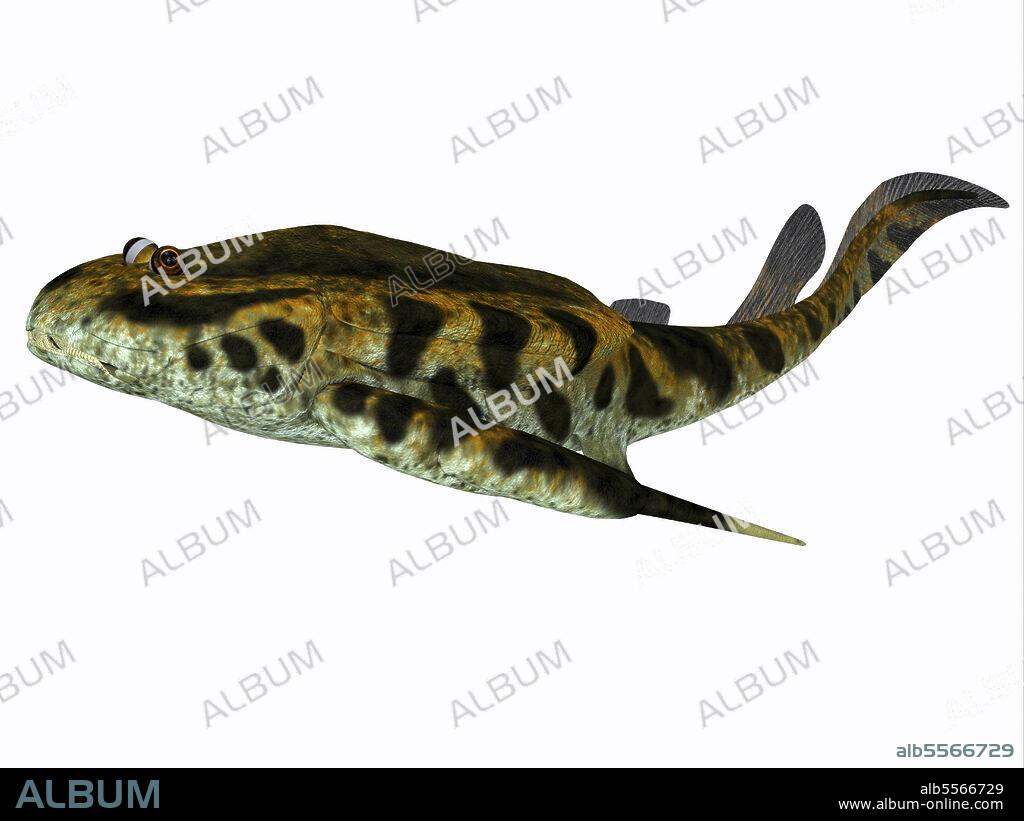 Bothriolepis fish, side profile. Bothriolepis was an aquatic placoderm fish that lived during the Devonian Period in freshwater and near shore marine environments.