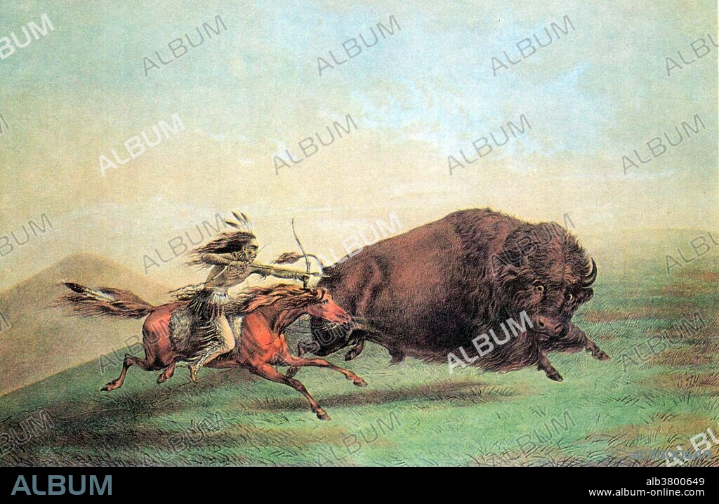 Lithograph entitled: "The buffalo chase, singling out." Although the Plains Indians hunted other animals, such as elk or antelope, bison was the primary game food source. Before their adoption of guns, the Plains Indians hunted with spears, bows and arrows, and various forms of clubs. The use of horses by the Plains Indians made hunting easier giving them the means and speed to stampede or overtake the bison. They reduced the length of their bows to three feet to accommodate their use on horseback. In the summer, many tribes gathered for hunting in one place. The main hunting seasons were fall, summer, and spring. In winter harsh snow and mighty blizzards made it almost impossible to kill the bison.