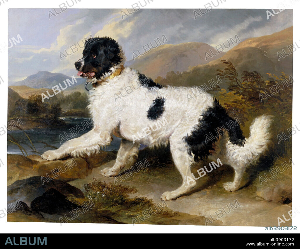 SIR EDWIN HENRY LANDSEER. Lion: A Newfoundland Dog. Date/Period: 1824 (painted) - 1824. Oil painting.