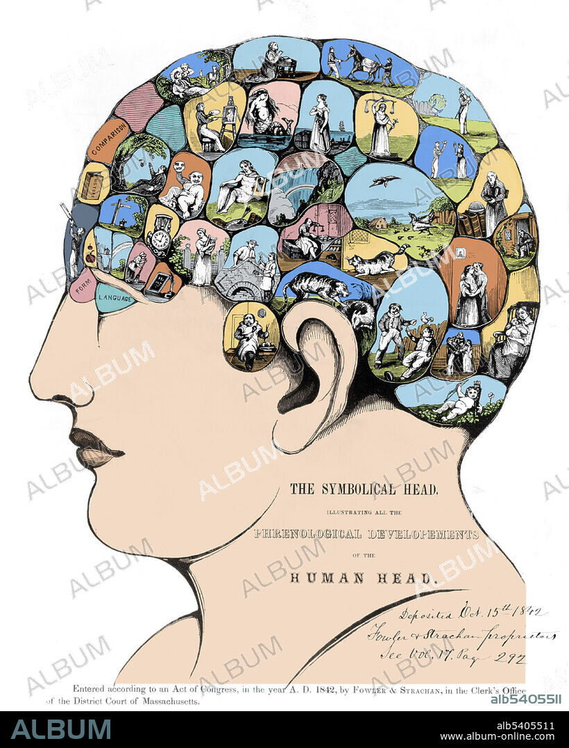 The Symbolical head, illustrating all the phrenological developments of the human head. Phrenology is the science which studies the relationships between a person's character and the morphology of the skull. It is a very ancient object of study. The first philosopher to locate mental faculties in the head was in fact Aristotle. The real scientific Phrenology, which established a direct link between the morphology of the skull and the human character, was discovered by Franz Joseph Gall an Austrian physician. He was one of the first to consider the brain as the home of all mental activities.