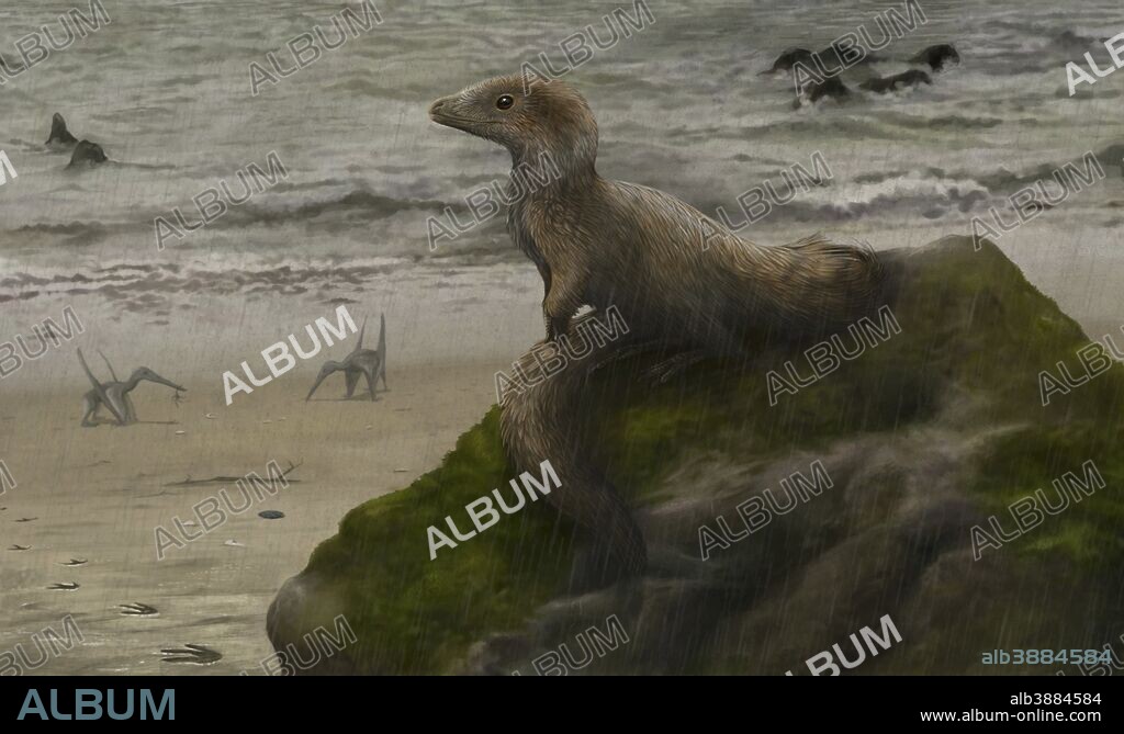 Sciurumimus, a possible baby megalosaurid theropod, means squirrel mimic, and was covered in fine primitive feathers.