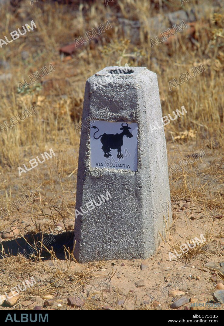 MOJON - SEÑAL INDICATIVA DE VIA PECUARIA.