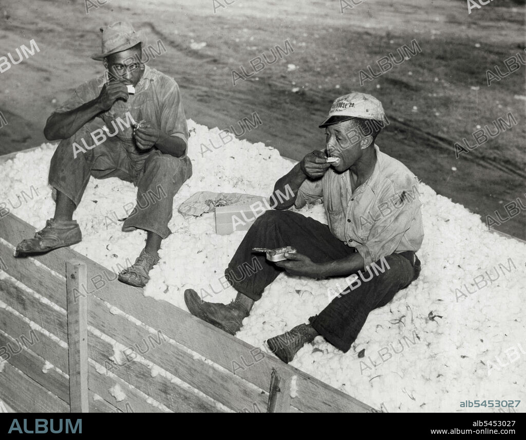 Come And Get It! -- Well, Not Quite. These darky cotton pickers on a Prattville, Ala., plantation don't wait to be called. They are shown here munching their drub on top of bales of cotton, and finding it as good as if mammy cooked it all herself. February 09, 1937. (Photo by Associated Press Photo).