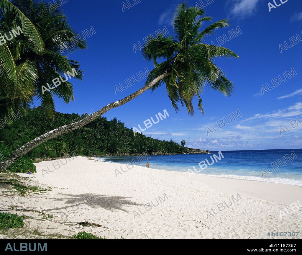 Anse Interdance, Mahe island, Seychelles, Indian Ocean, Africa.