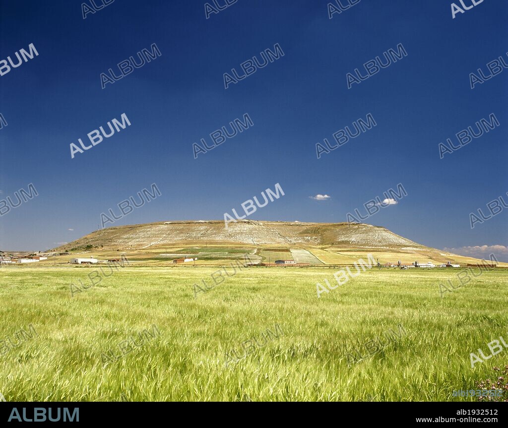 CASTILLA-LEON. Paisaje de PARAMOS en los alrededores de la localidad de Iscar. En primer término, un CAMPO DE TRIGO. Provincia de Valladolid. España.