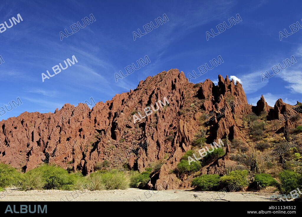 Canon Del Inca, Tupiza Chichas Range, Andes, Southwestern Bolivia, South America.