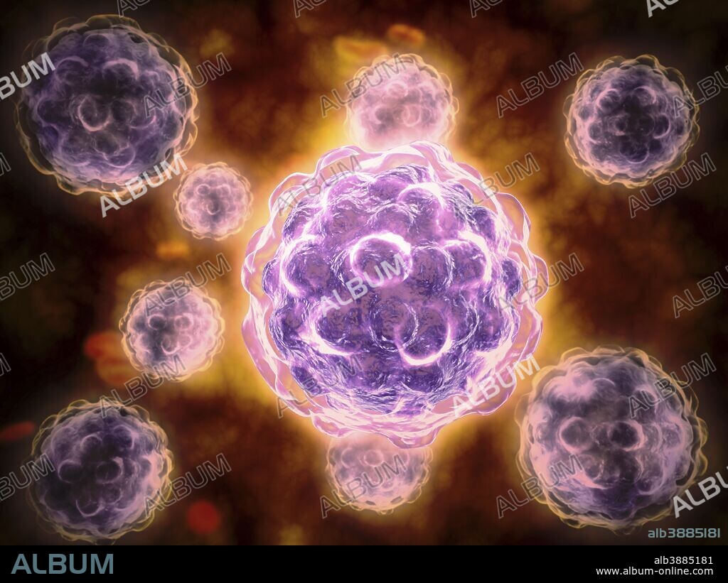 Microscopic view of poliovirus. Poliovirus is the causative agent of polio, a human enterovirus. It is composed of an RNA genome and a protein capsid.