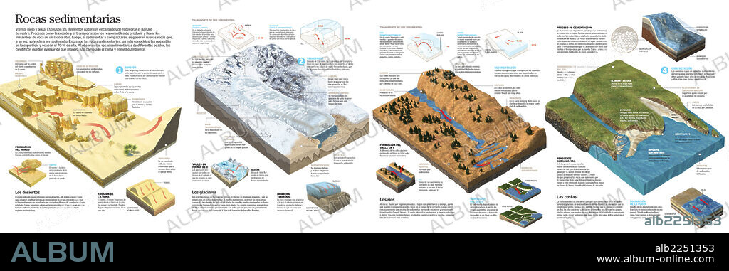 ROCAS SEDIMENTARIAS. Infografía del proceso de formación de las rocas sedimentarias en cuatro fases: erosión, transporte, sedimentación y compactación.