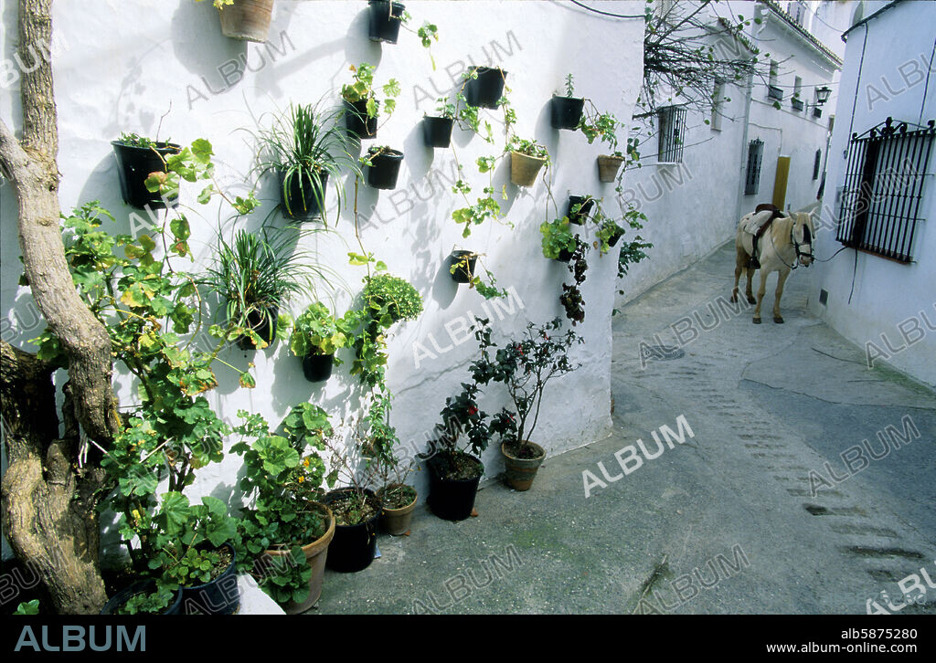 Benadalid en Serranía de Ronda; fachadas con plantas y burro.