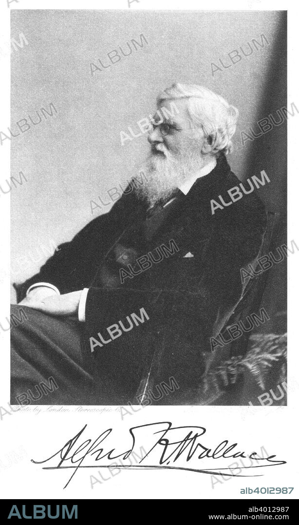 Alfred Russell Wallace, Welsh-born British naturalist, c1900. Wallace (1823-1913) independently arrived at a theory of evolution similar to that of Charles Darwin (1809-1882). From Pioneers of Evolution by Edward Clodd.  (London, 1908).