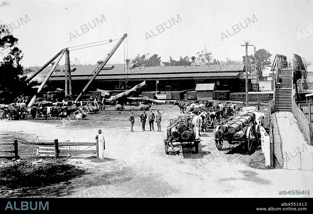 Negative - Traralgon, Victoria, 1920, Loading logs onto a train at Traralgon Railway Station.