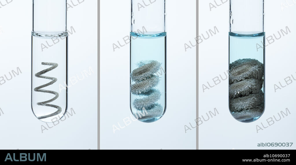 Copper reacting with silver nitrate. Copper metal wire was immersed into a test tube containing a 0.25M silver nitrate solution. Since copper is more reactive than silver, a single-displacement reaction occurred: Cu + AgNO3 -> Ag + Cu(NO3)2. In this sequence the frames are, left to right: 10 sec after the wire was put into the test tube, after 5 min, after 20 min.