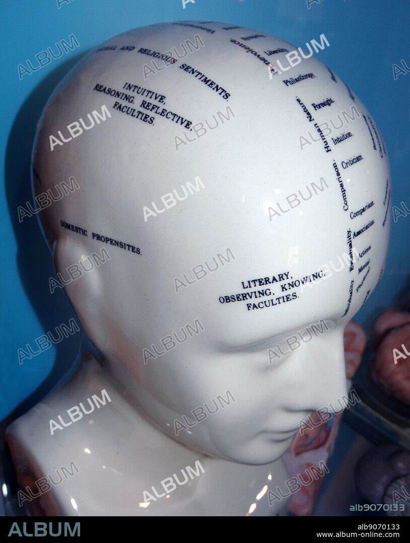 Phrenology is a pseudoscience primarily focused on measurements of the human skull, based on the concept that the brain is the organ of the mind and that certain brain areas have localized, specific functions or modules. The direct link between the morphology of the skull and the human character was discovered by Franz Joseph Gall (1758-1828),.