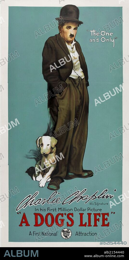 CHARLIE CHAPLIN dans UNE VIE DE CHIEN, 1918 (A DOG'S LIFE), réalisé par CHARLES CHAPLIN. Copyright FIRST NATIONAL.