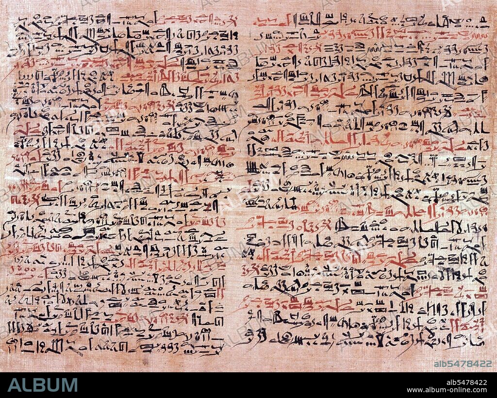 The Edwin Smith papyrus, the world's oldest surviving surgical document. Written in hieratic script in ancient Egypt around 1600 BCE, the text describes anatomical observations and the examination, diagnosis, treatment, and prognosis of 48 types of medical problems in exquisite detail. Plate 6 and 7 of the papyrus, pictured here, discuss facial trauma.