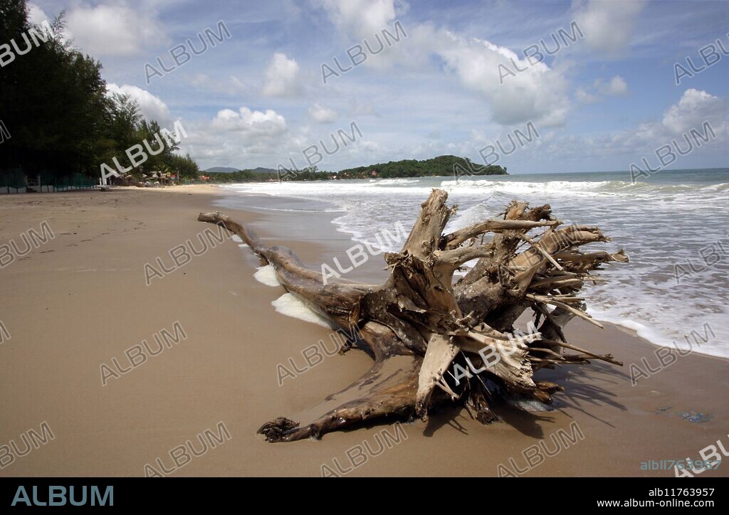 A Deserted beach on Koh Lanta Yai (Ko Lanta Yai) in Southern Thailand. An uprooted tree lies on the beach, a reminder that this island was hit by the Tsunami in 2004. *** Local Caption ***.