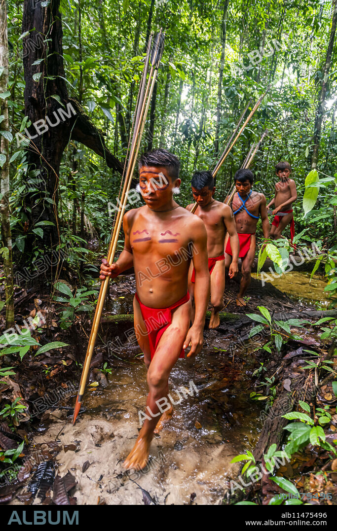 Yanomami tribe walking through the jungle, southern Venezuela, South America.
