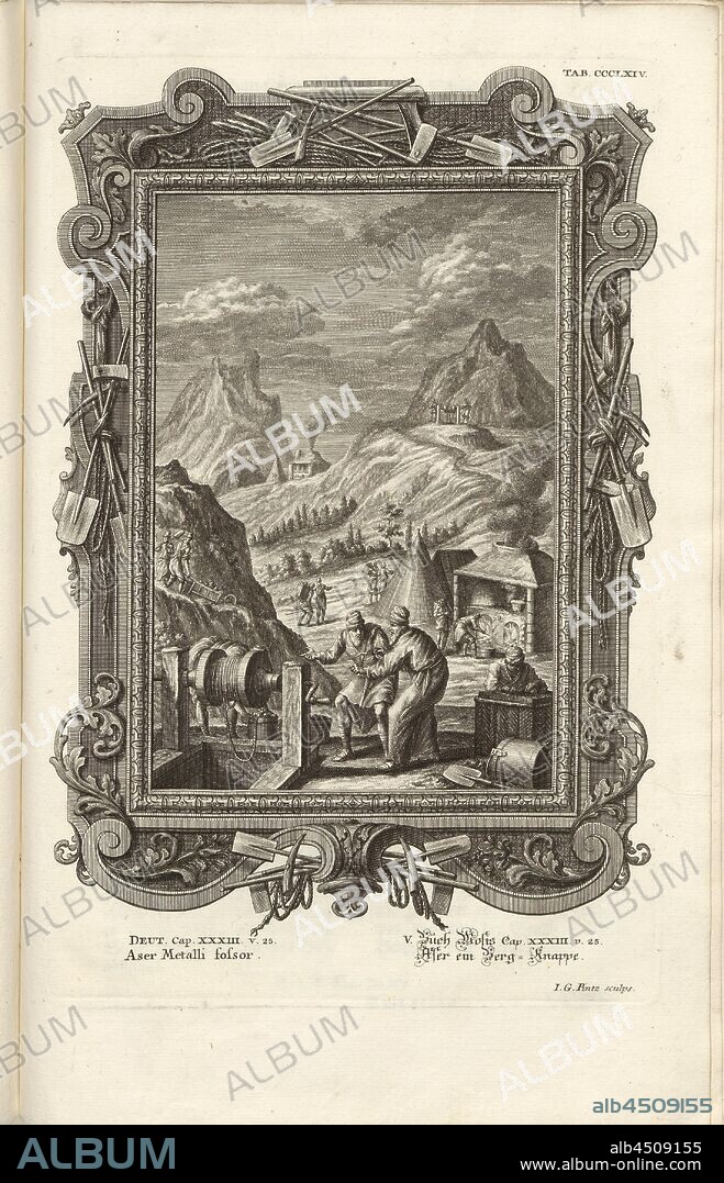 Aser Metalli folsor, Parallel Title: Aser a Mountain Squire, Signed: J. G. Pintz sculps, Copperplate, Plate CCCLXIV (Vol. 2), Füssli, Johann Melchior; Pinz, Johann Georg (sculps,), 1731, Johann Jakob Scheuchzer: Kupfer-Bibel (...). Augspurg und Ulm: gedruckt bey Christian Ulrich Wagner, 1731-1735.