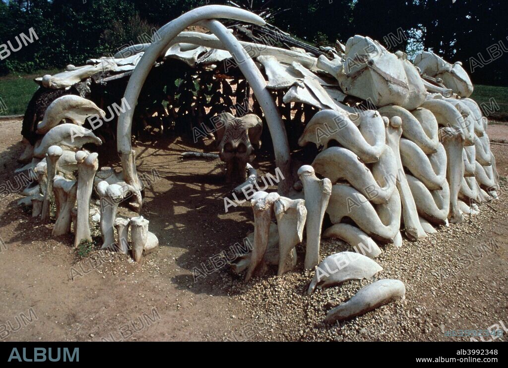 Paleolithic mammoth hunter's hut made of mammoth bones, as excavated at Mezhirich, Ukraine.