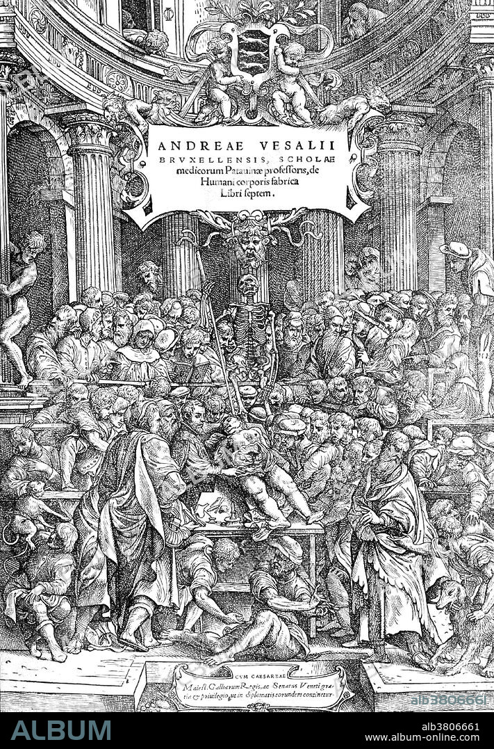 De Humani Corporis Fabrica (On the Fabric of the Human Body) is one of the most influential works in the history of Western medicine. It was conceived and written by 28 year old Andreas Vesalius (December 31, 1514 - October 15, 1564) a Belgian anatomist and physician. He was a professor at the University of Padua and later became Imperial physician at the court of Emperor Charles V. He was both a gifted dissector and a learned scholar whose great contribution was to apply to anatomy the critical methods developed by the Renaissance humanist scholars. In 1564 he went on a pilgrimage to the Holy Land. When he reached Jerusalem, he received a message requesting he again accept the Paduan professorship, which had become vacant. The ship he sailed on was wrecked on the island of Zakynthos. Here he soon died in such debt that a benefactor paid for his funeral. He was 49 years old.