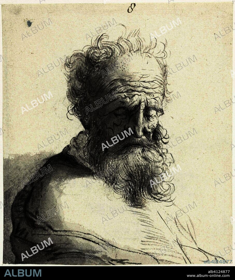 Head of an old man. Artist: Rembrandt van Rijn. Draughtsman: Moses ter Borch. Dating: c. 1659 - 1660. Place: Zwolle. Measurements: h 107 mm × w 95 mm.
