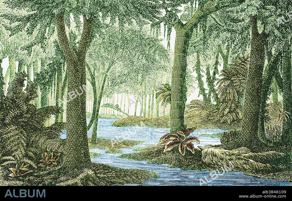 Carboniferous landscape. The Carboniferous is a geologic period and system that extends from the end of the Devonian Period, about 358.9 million years ago, to the beginning of the Permian Period, about 298.9 mya. The name Carboniferous means "coal-bearing" and derives from the Latin words carbo ("coal") and fero ("I bear, I carry"), and was coined by geologists William Conybeare and William Phillips in 1822. Illustration from 1886.