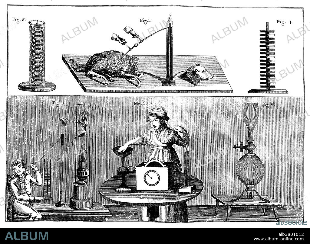 Galvanism experiments. Galvanism is the contraction of a muscle that is stimulated by an electric current. The effect was named after Luigi Galvani (September 9, 1737 - December 4, 1798), who investigated the effect of electricity on dissected animals in the 1780-90s. Giovanni Aldini (April 10, 1762 - January 17, 1834) was an Italian physicist and nephew of Galvani. His most famous public demonstration of the electro-stimulation technique of deceased limbs was performed on the executed criminal George Forster in London, 1803. The Newgate Calendar describes what happened: "On the first application of the process to the face, the jaws of the deceased criminal began to quiver, and the adjoining muscles were horribly contorted, and one eye was actually opened." Image appeared in "Essai theoretique experimental sur le Galvanisme" by Giovanni Aldini, 1804.