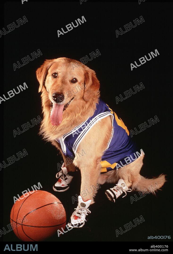 AIR BUD, 1997, directed by CHARLES MARTIN SMITH. Copyright WALT DISNEY PRODUCTIONS.