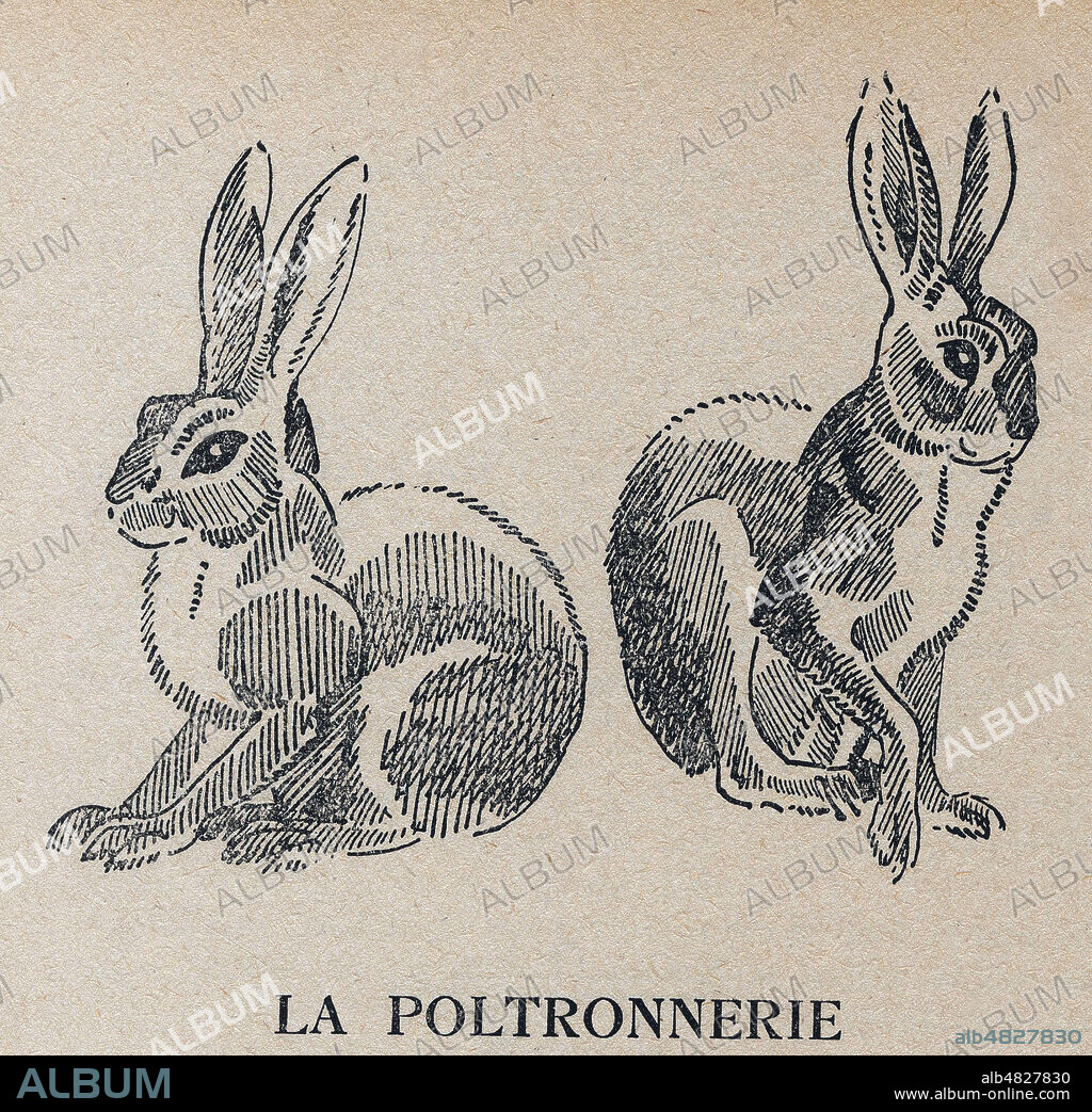 La poltronerie du lievre. Illustration de Georges GUYOT (1885-1972) pour La vie des betes par Louis PERGAUD (1882-1915). ADAGP. Credit : Coll. Jonas/Kharbine-Tapabor.