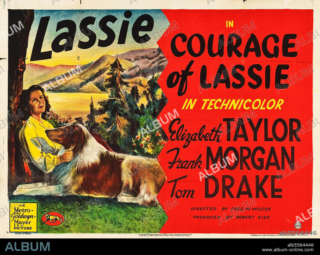 LASSIE - HELD AUF VIER PFOTEN, 1946 (COURAGE OF LASSIE), unter der Regie von FRED M. WILCOX. Copyright Metro-Goldwyn-Mayer (MGM).