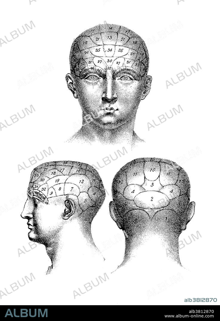 Phrenology Chart, 1825