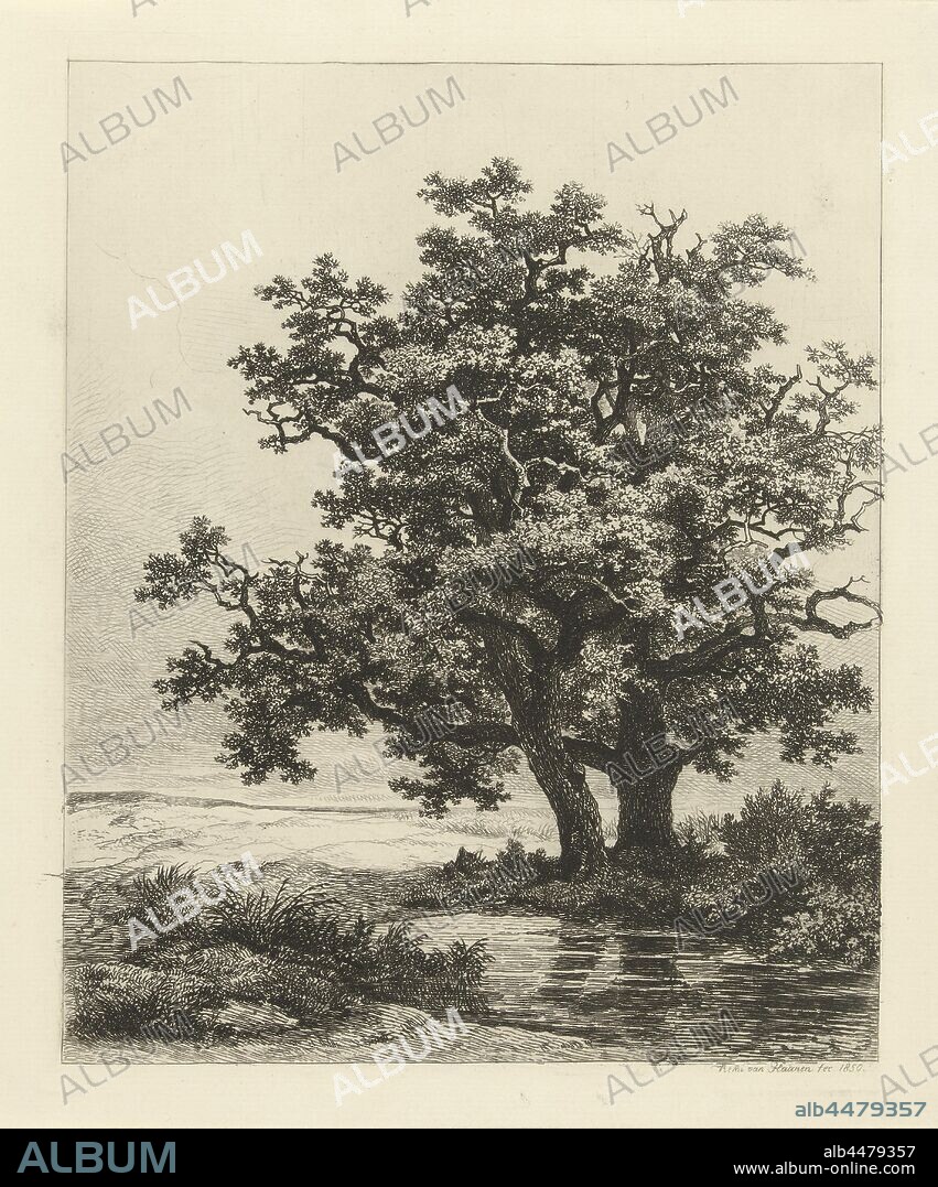 Two oaks by a lake, A landscape with two oak trees and a lake, landscapes with waters, waterscapes, seascapes (in the temperate zone), Remigius Adrianus Haanen (mentioned on object), Austria, 1850, paper, etching, h 233 mm × w 195 mm.