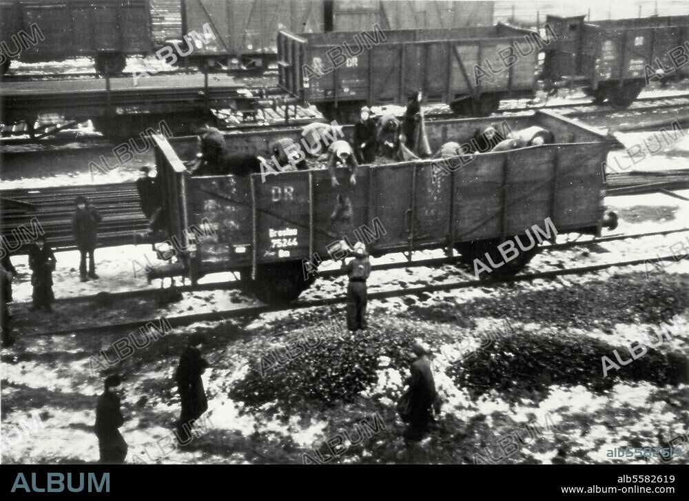 Deutschland / Nachkriegszeit:. "Kohlenklau". Bremen: Kohle wird von einem Güterwagen gestohlen. Foto, Januar 1947. ,.