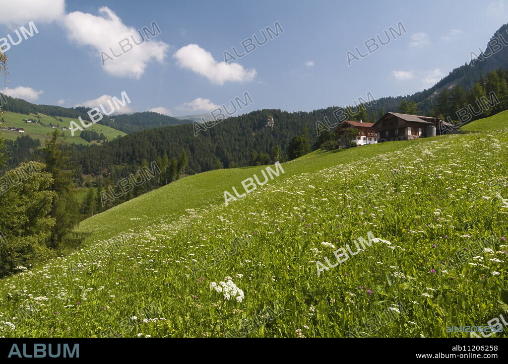 Santa Maddalena, Funes Valley (Villnoss), Dolomites, Trentino Alto Adige, South Tyrol, Italy, Europe.