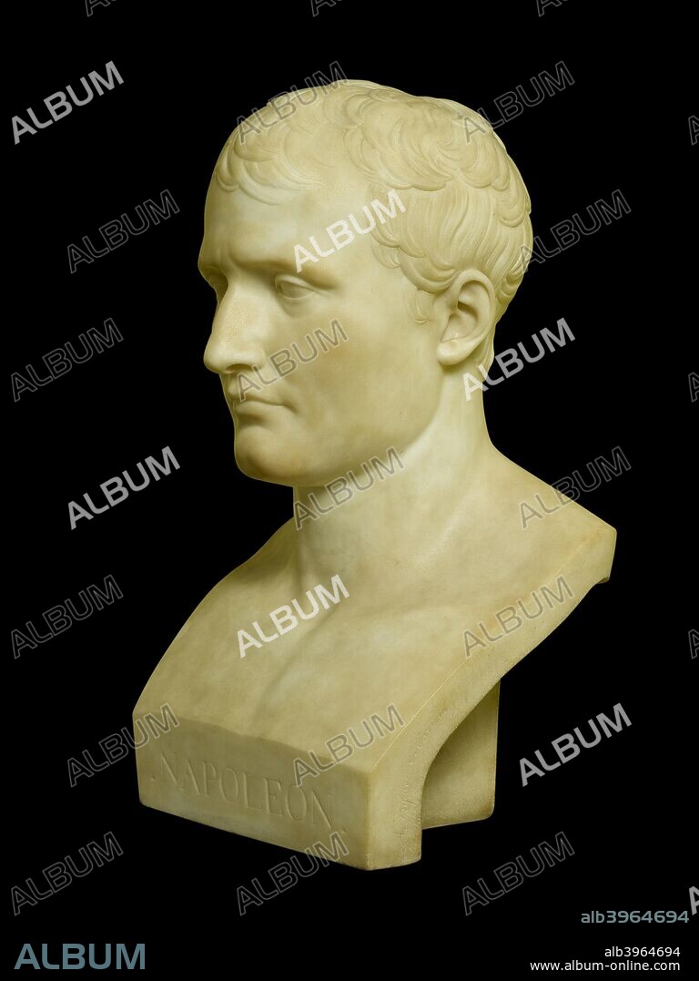 Bust of Napoleon Bonaparte, early 19th century. From the Wellington Museum, Apsley House, London.