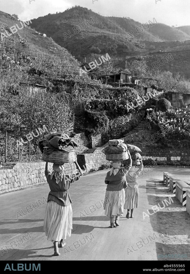 Farmers, bagnara calabra, calabria, italy, 1955.